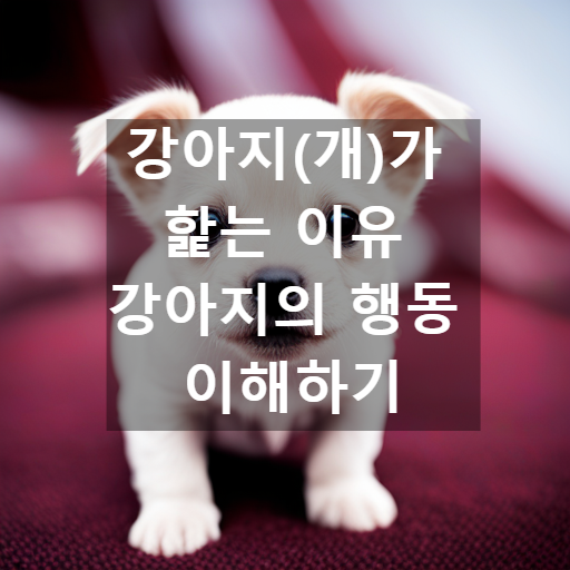 강아지(개)가 핥는 이유 강아지의 행동 이해하기