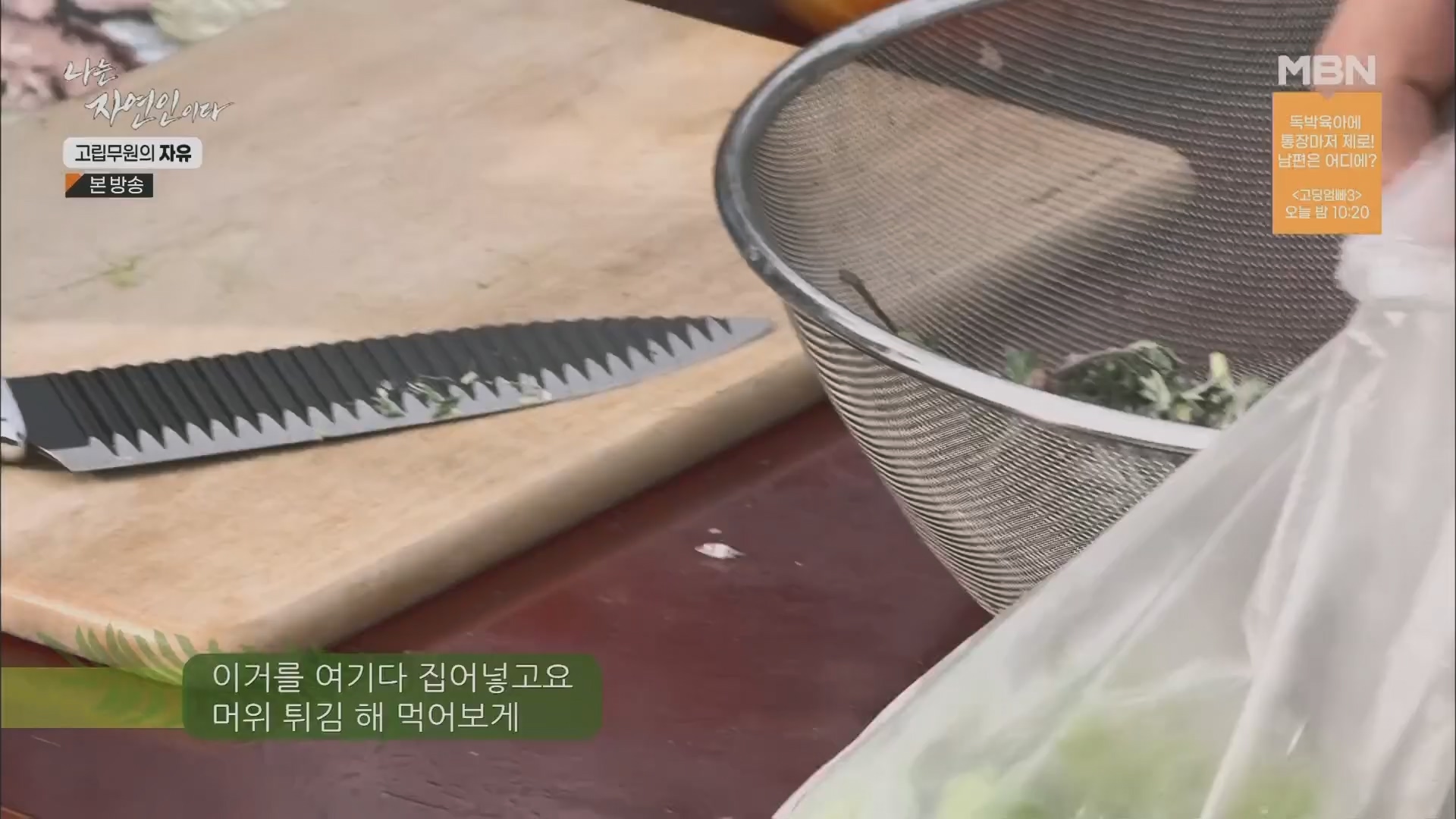 나는 자연인이다.E549.230412p.H264-F1RST.mp4_20230413_213209.909.jpg