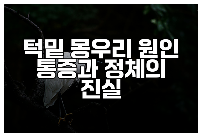 턱밑 몽우리 원인 통증과 정체의 진실