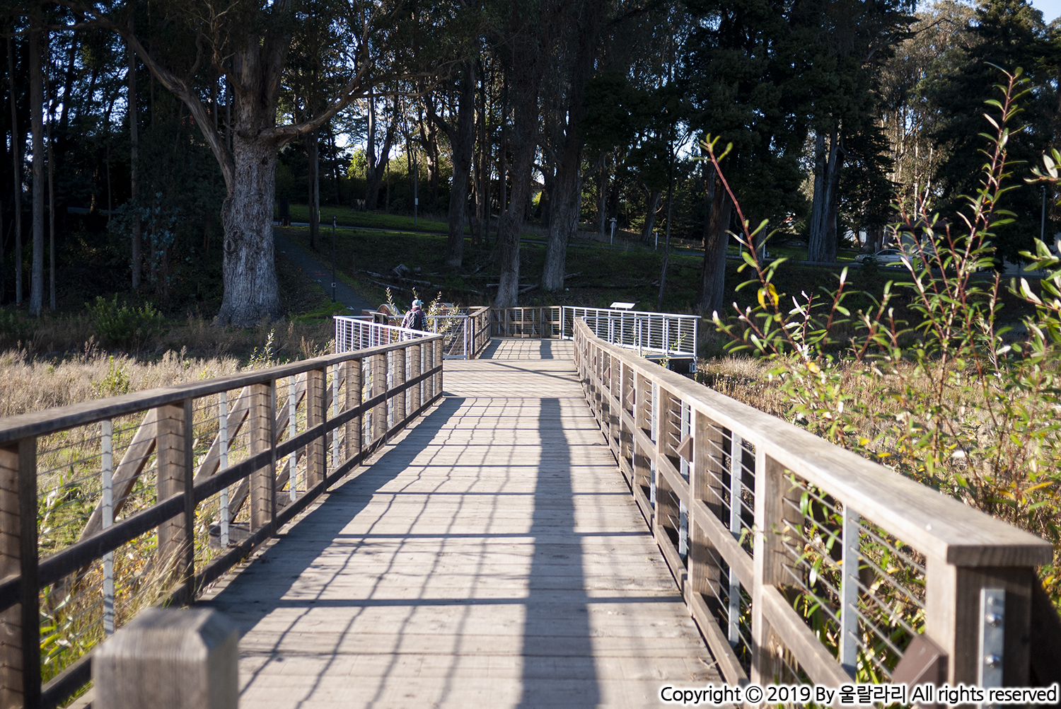 샌프란시스코 시크릿 가든 프레시디오 공원 PRESIDIO OF SAN FRANCISCO