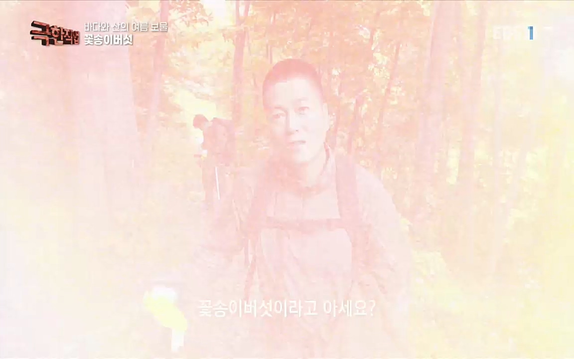 TV - 교육의 중심 EBS바다와 산의 여름 보물, 갯바위 미역 & 꽃송이버섯.mp4_20220828_145320.119.jpg