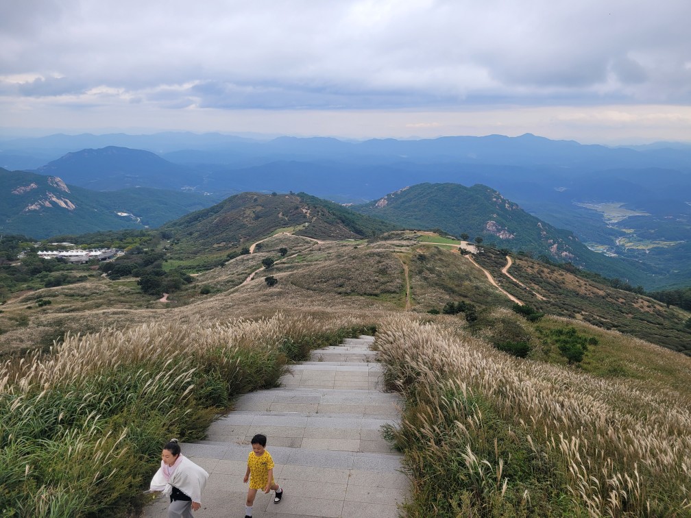합천 황매산 억새 축제