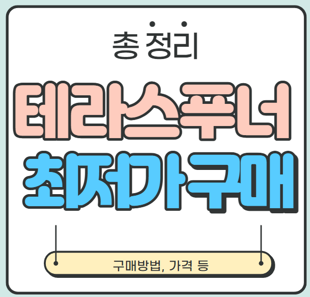  [구매정보] 테라스푸너 행사 및 최저가 구매 방법 (ft. 이마트 테라스푸너)