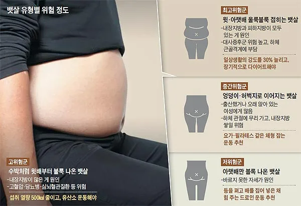 내장지방 빼는법