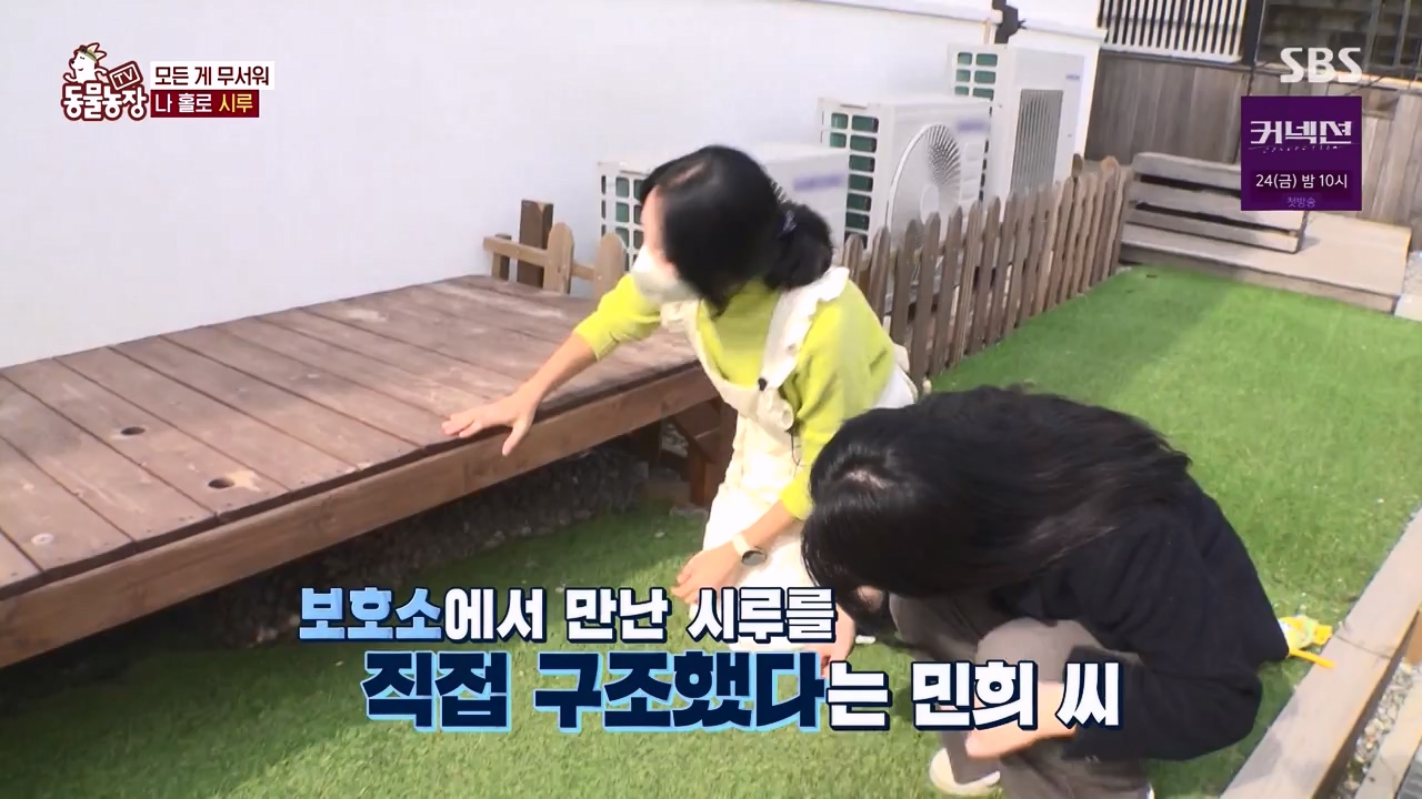 TV 동물농장.E1172.240520p-NEXT.mp4_20240519_165240.466.jpg