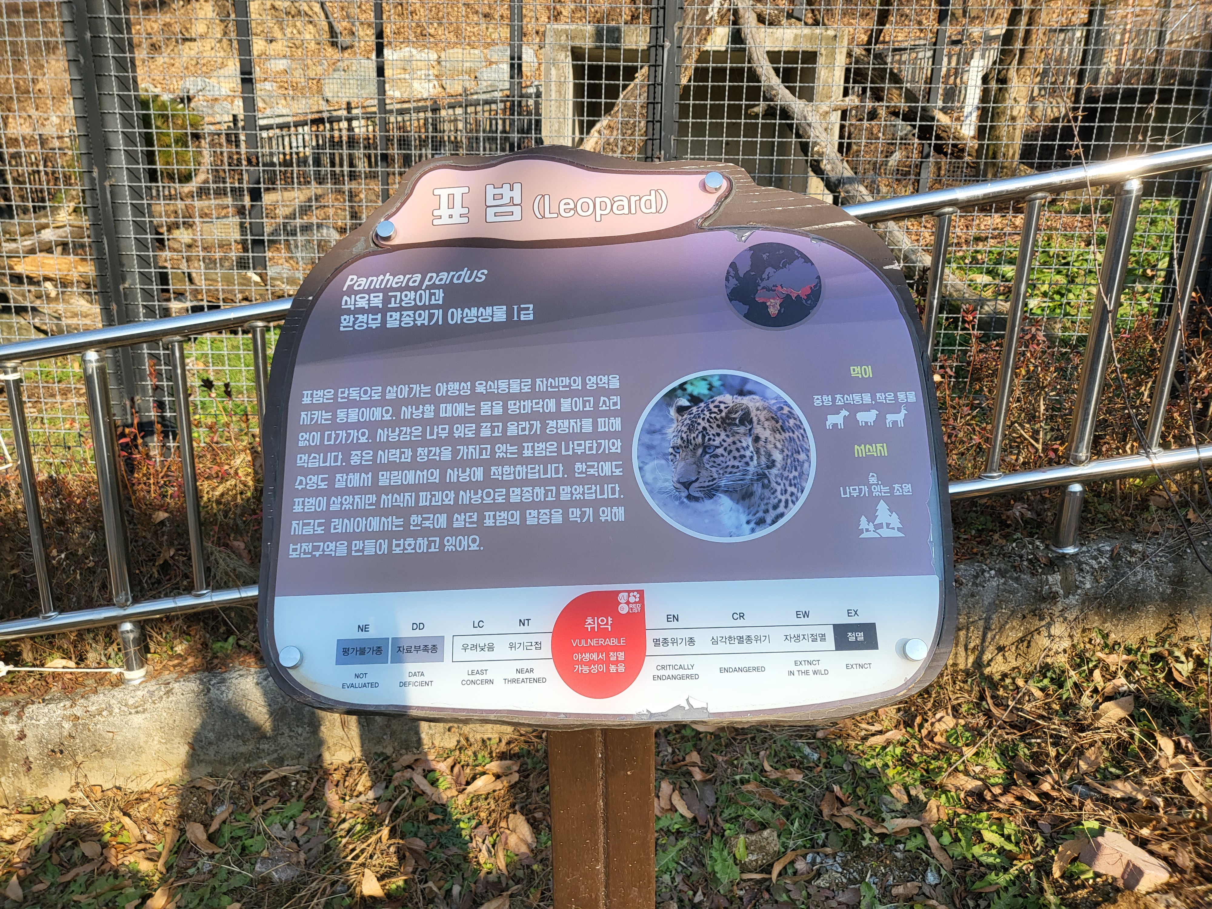 청주 동물원 - 표범 안내판