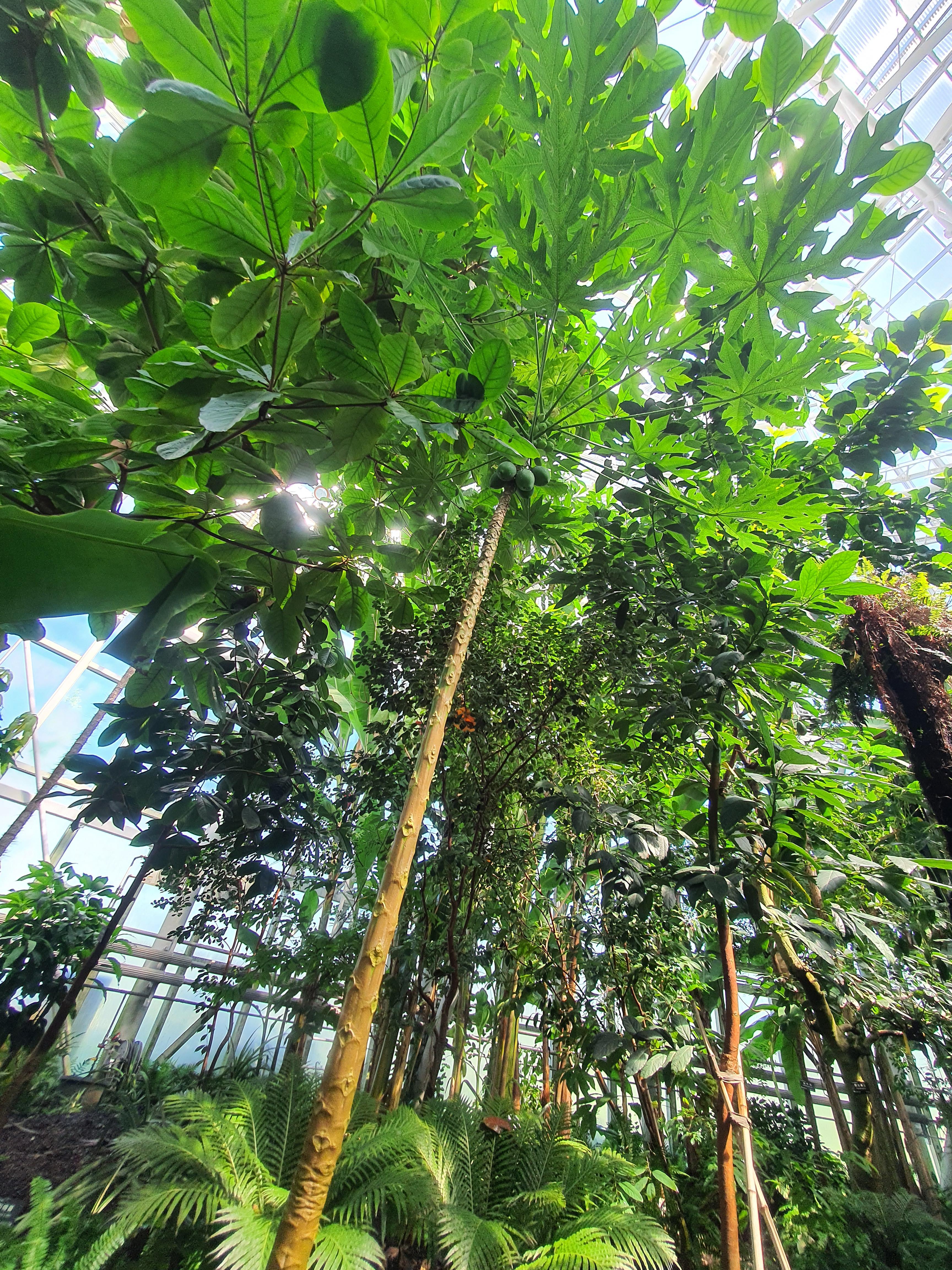 국립세종수목원 야간 개장 이용 안내 할인 혜택 세종 가볼만한 곳