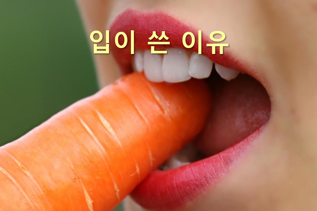  입이 쓴 이유와 입이 쓴 증상을 개선하는 방법