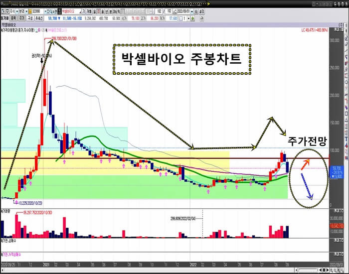 박셀바이오-주-봉-차트