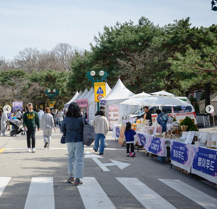 렛츠런 파크 서울 벚꽃 축제