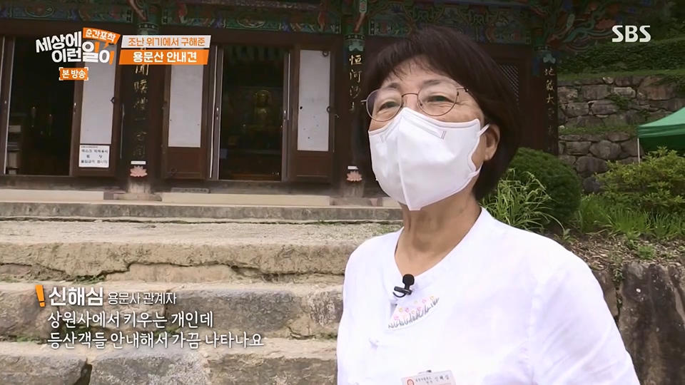 순간포착 세상에 이런일이.E1236.230708p.H264-F1RST.mp4_20230709_171119.450.jpg