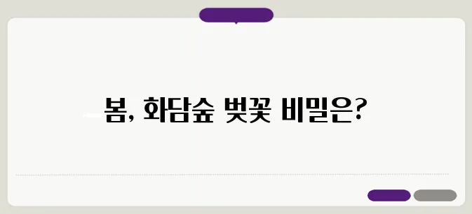 광주 화담숲에서 만나는 봄의 아름다움, 벚꽃 예약의 노하우를 알아보세요!
