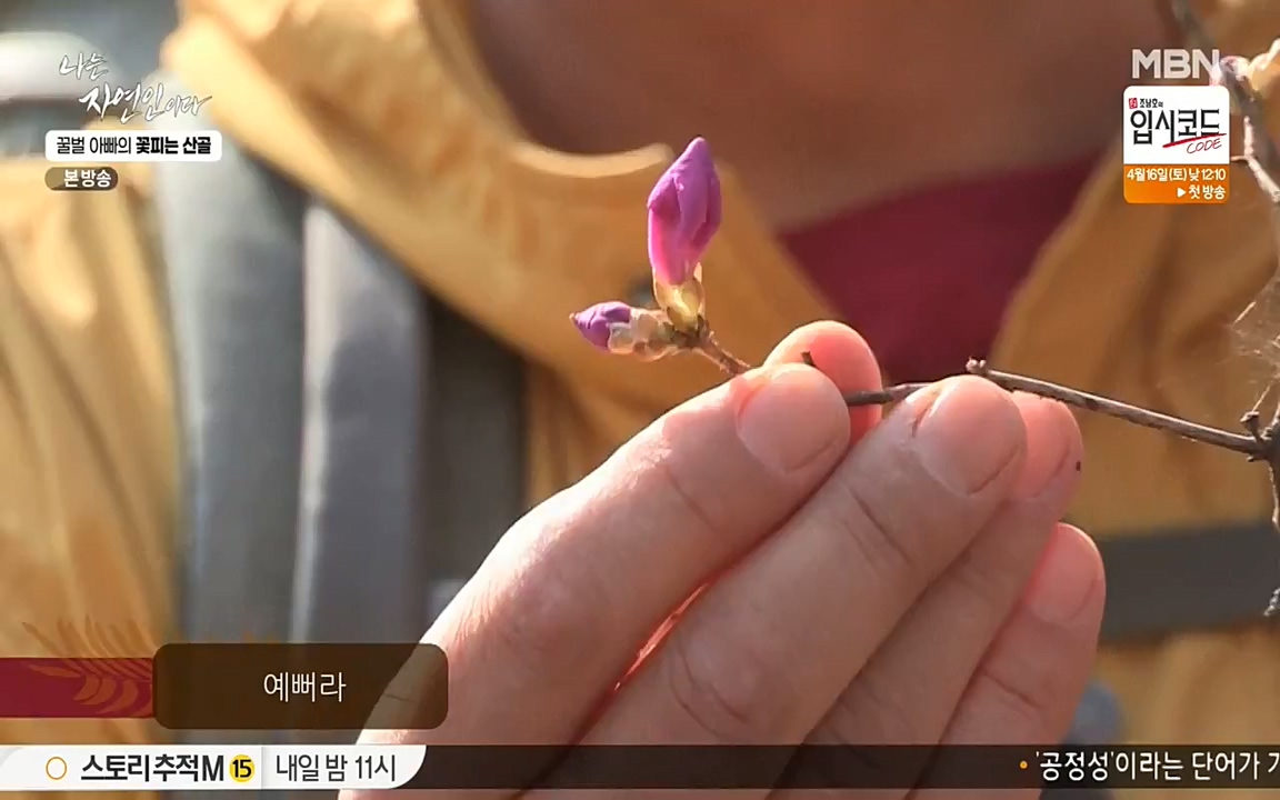 나는 자연인이다.E497.220414p-NEXT.mp4_20220414_182316.048.jpg