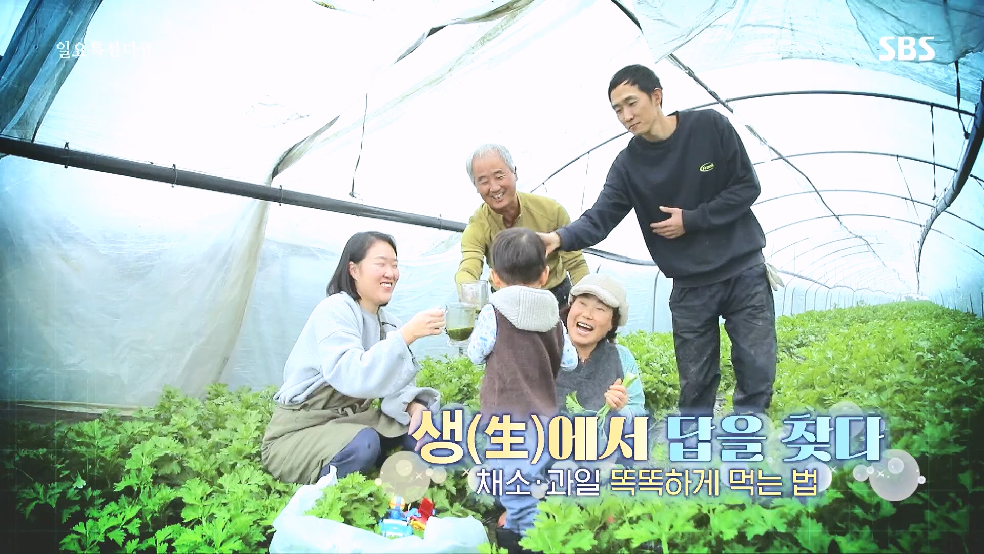 일요 특선 다큐멘터리.E335.240107p.H264-F1RST.mp4_20240108_204542.502.jpg