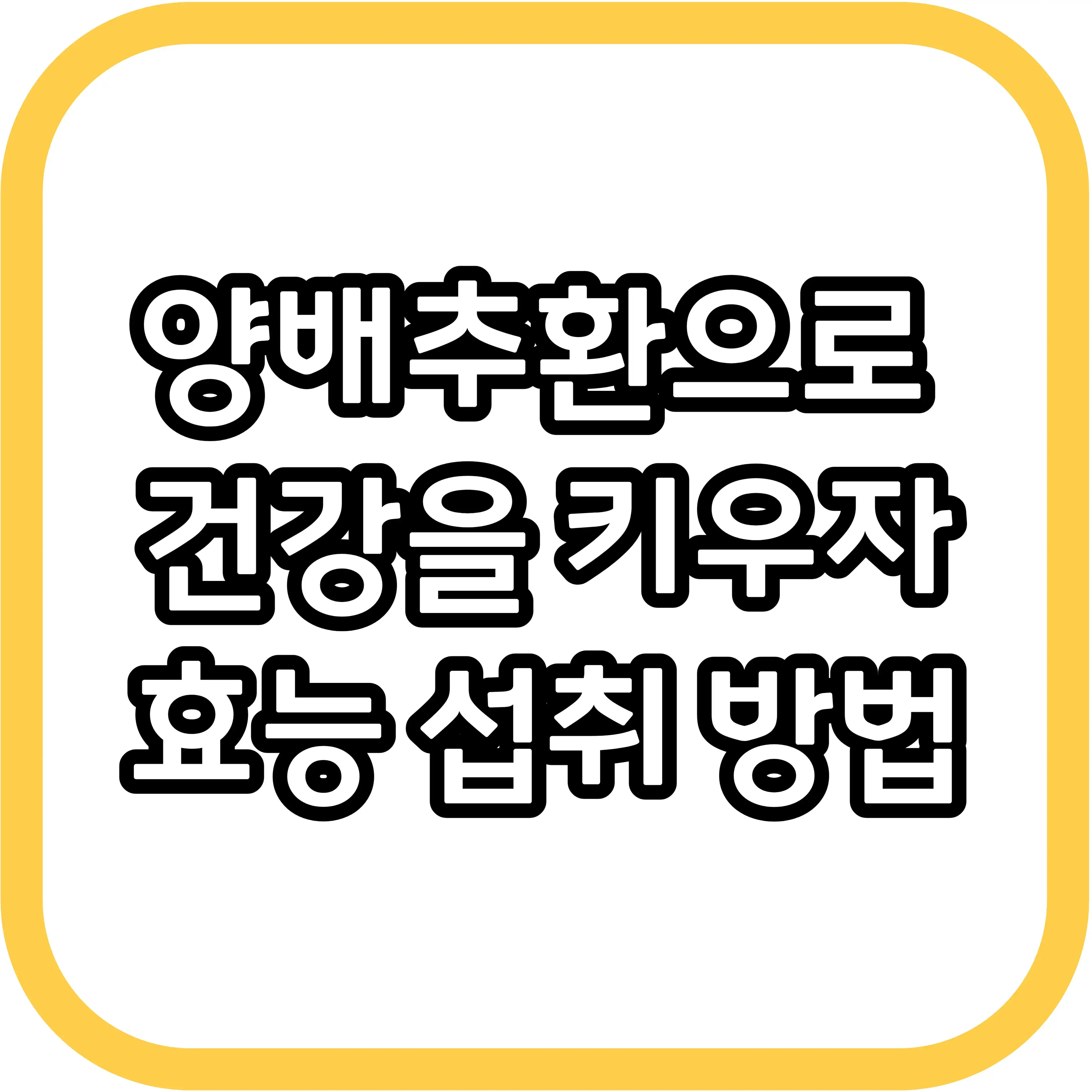  양배추 효능 양배추환 효능, 다이어트와 건강에 좋은 음식