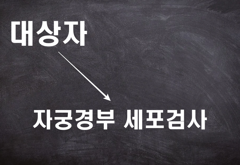  자궁경부암 검진 절차, 검진 시 주의사항