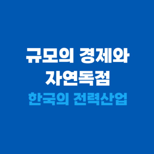 규모의 경제와 자연독점