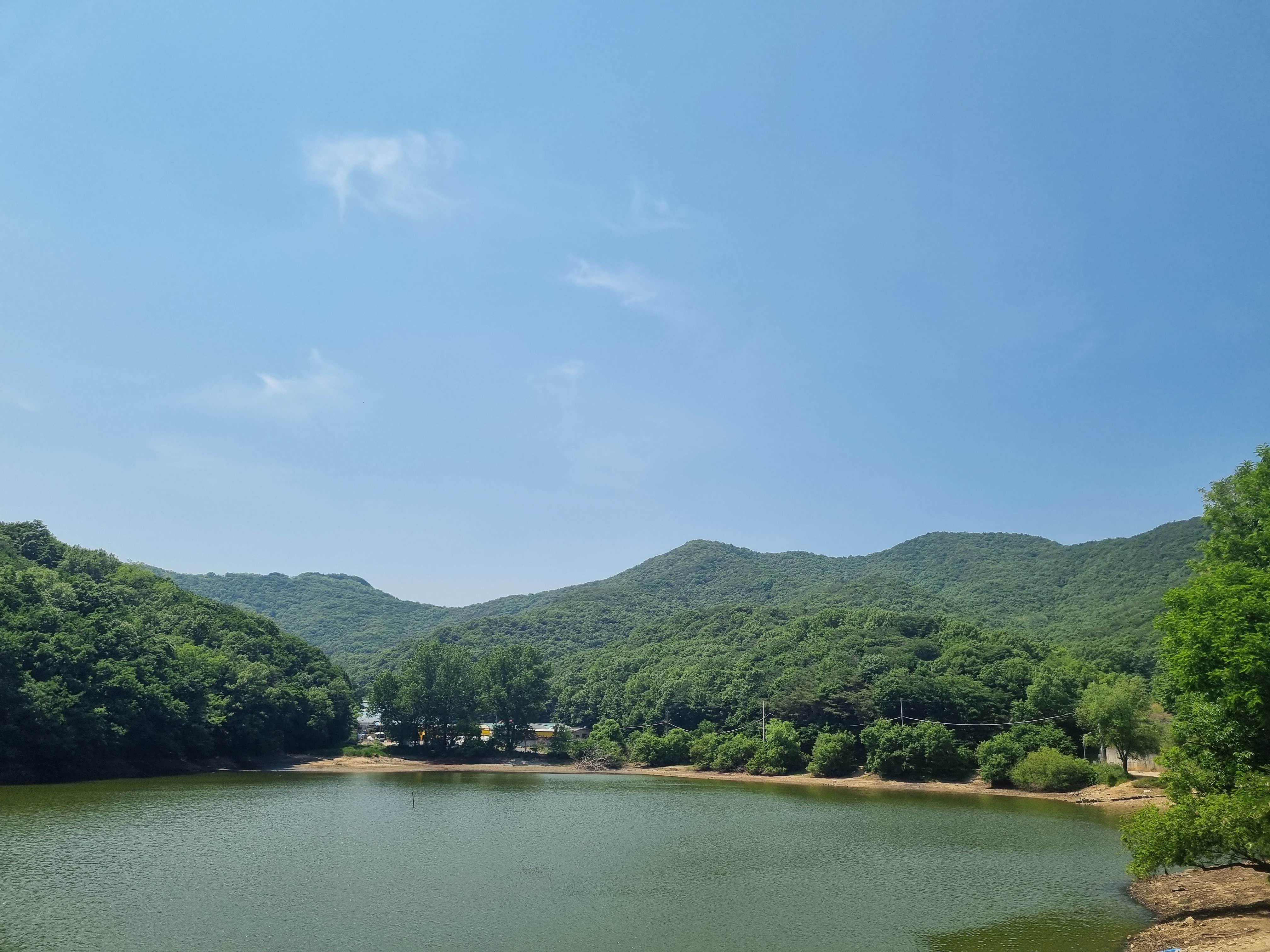 경기도안성저수지동항저수지천덕제포인트 배스낚시