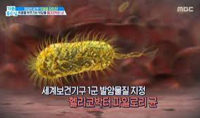 효능 부작용 정리 메스틱검 매스틱검 4