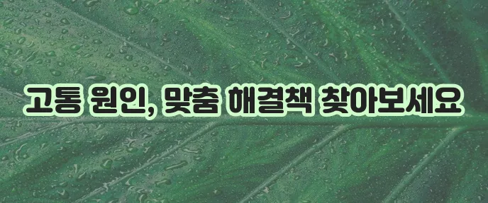 항문 통증 원인과 해결책 확실하게 알아봐야 합니다.