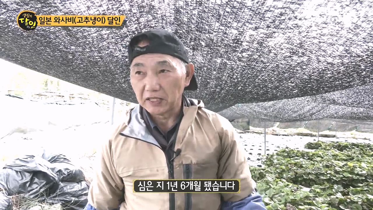 생활의 달인.E908.231017p-NEXT.mp4_20231017_200148.680.jpg