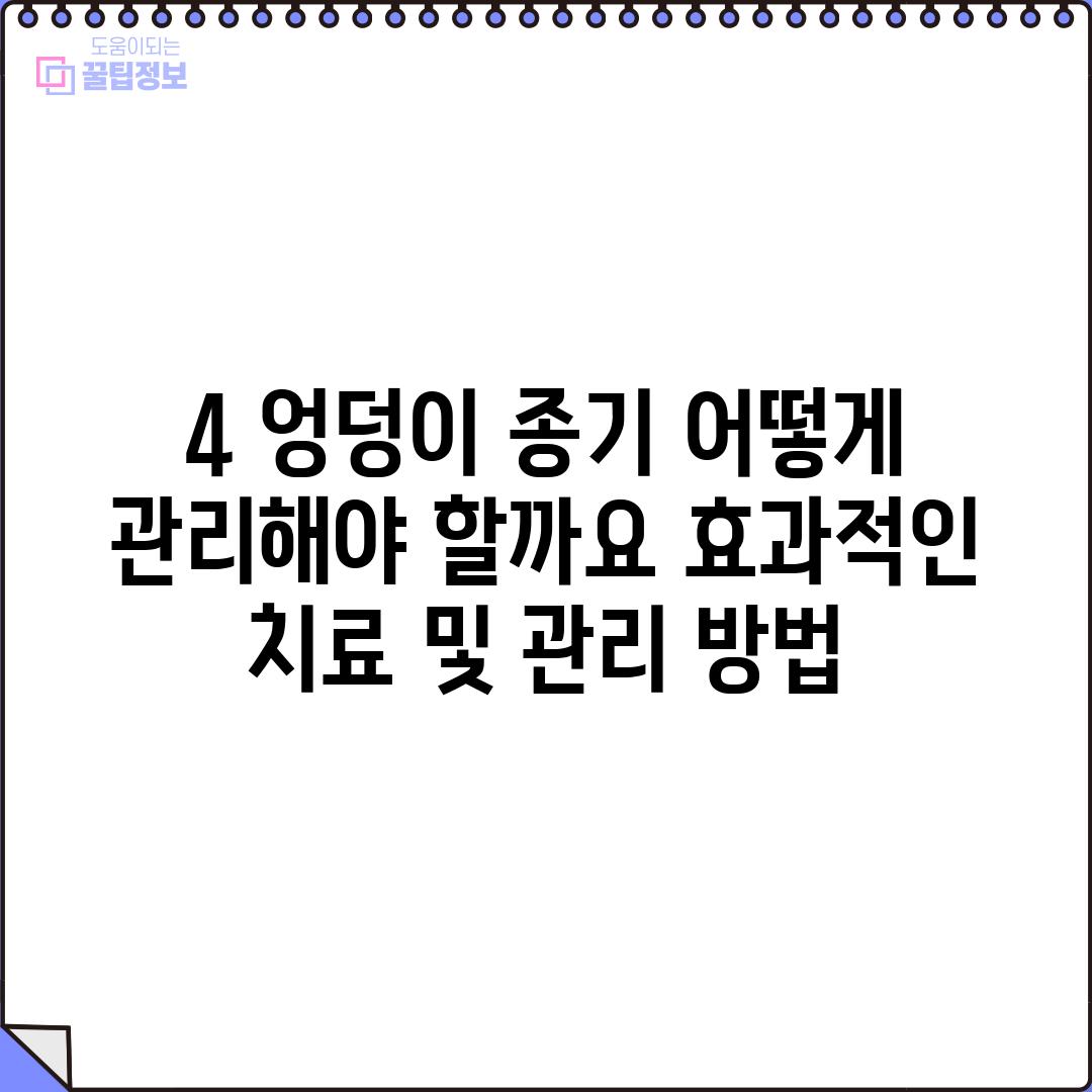 4. 엉덩이 종기, 어떻게 관리해야 할까요? 효과적인 치료 및 관리 방법