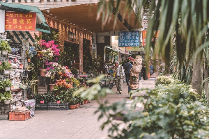 홍콩 여행 추천 몽콕 꽃시장