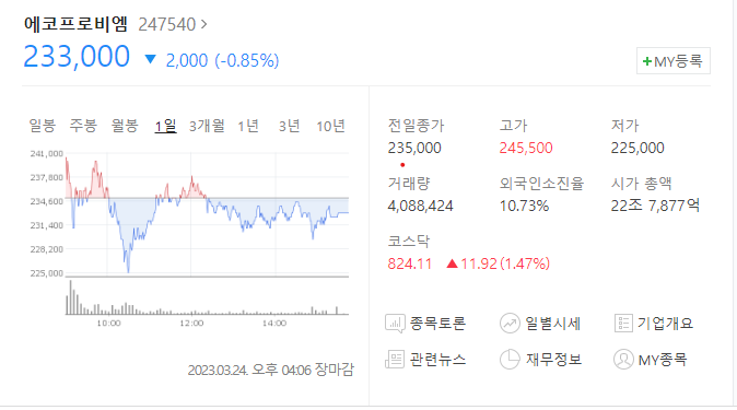 에코프로비엠 주가 전망