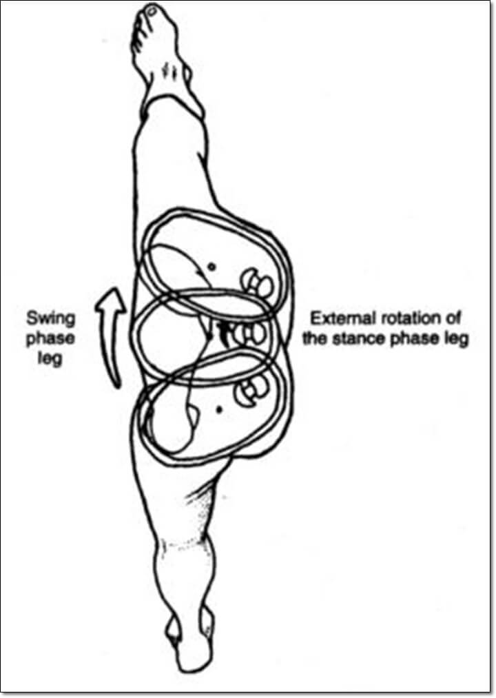 발의 회전력이 골반과 다리에서 일어나서 전달되는 것을 보여주는 그림