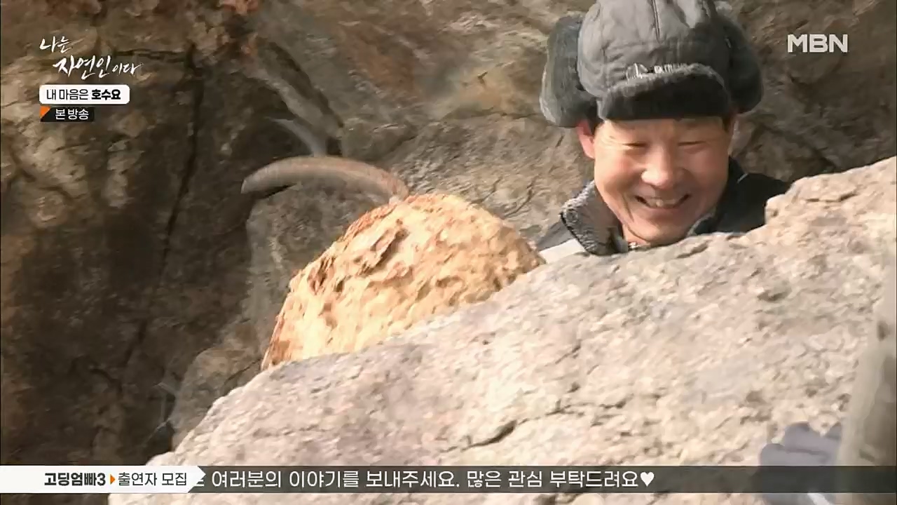 나는 자연인이다.E540.230209p.H264-F1RST.mp4_20230209_203719.227.jpg