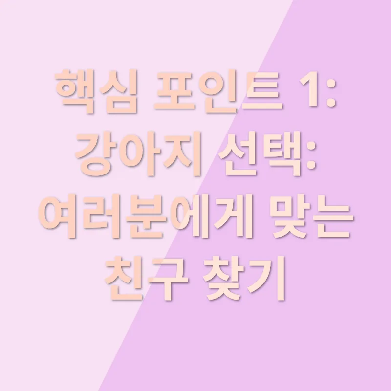 강아지 분양_1
