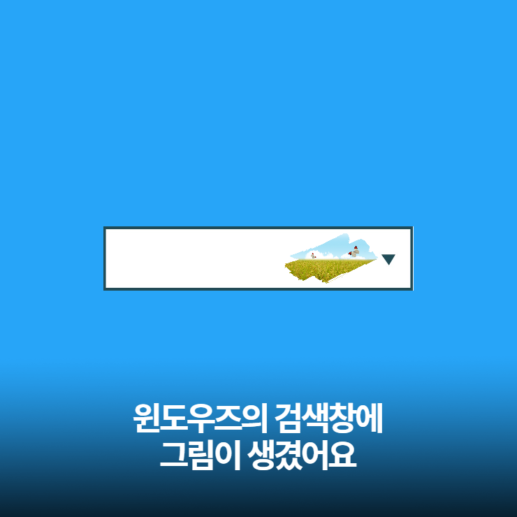  컴퓨터 윈도우 검색창에 그림이 생겼어요