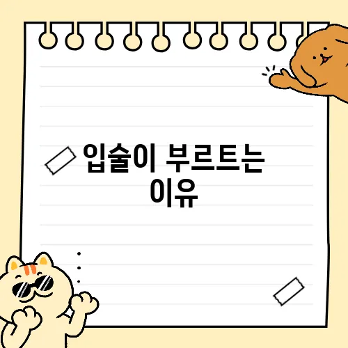 입술이 부르트는 이유