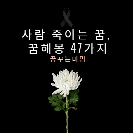 사람 죽이는 꿈-꿈해몽 47가지