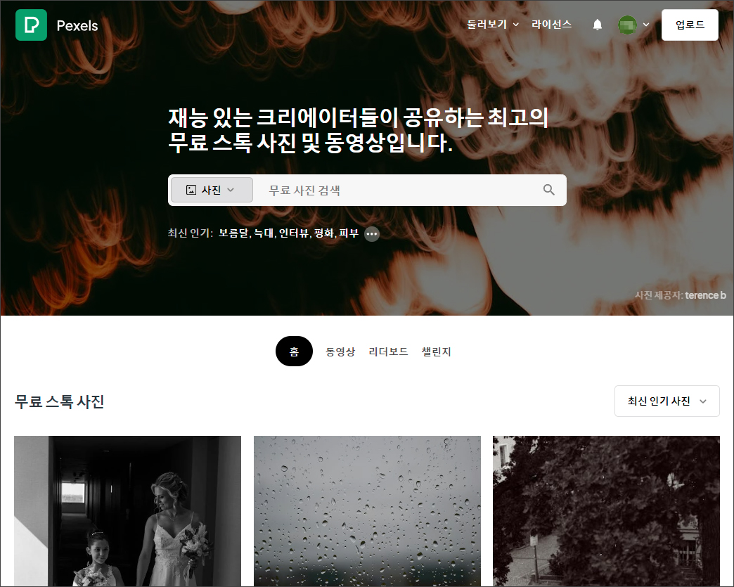 무료 이미지 사이트