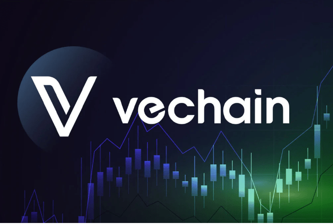 2024년 다시보는 중국관련 코인 &#39;비체인(VeChain) VET&#39;