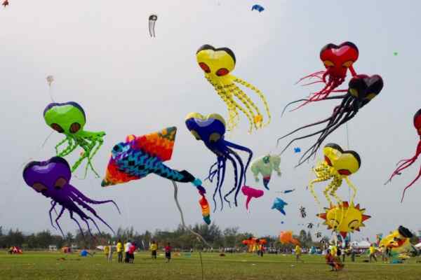 국제 연 날리기 축제 (International Kite Festival)