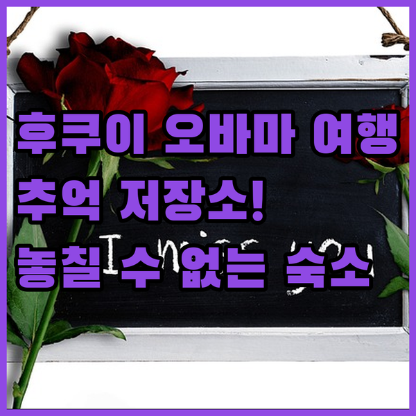 후쿠이 오바마 여행 추억 저장소? 놓