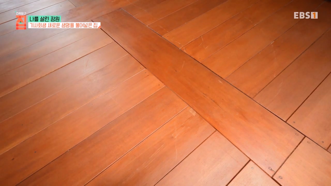 TV - 전 국민의 평생학교 EBS나를 살린 정원.mp4_20230814_211343.651.jpg