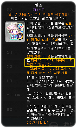 자석펫을 샀습니다