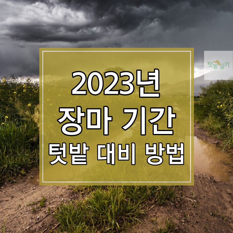 2023년 올해 장마 기간 및 텃밭 장마 대비 방법 썸네일