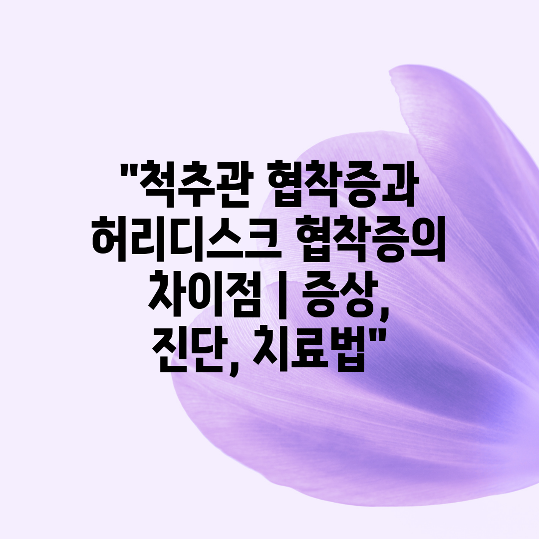 척추관 협착증과 허리디스크 협착증의 차이점  증상, 진