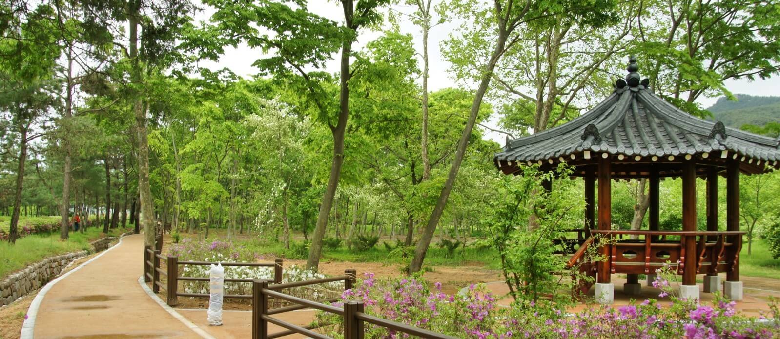 산림환경연구원