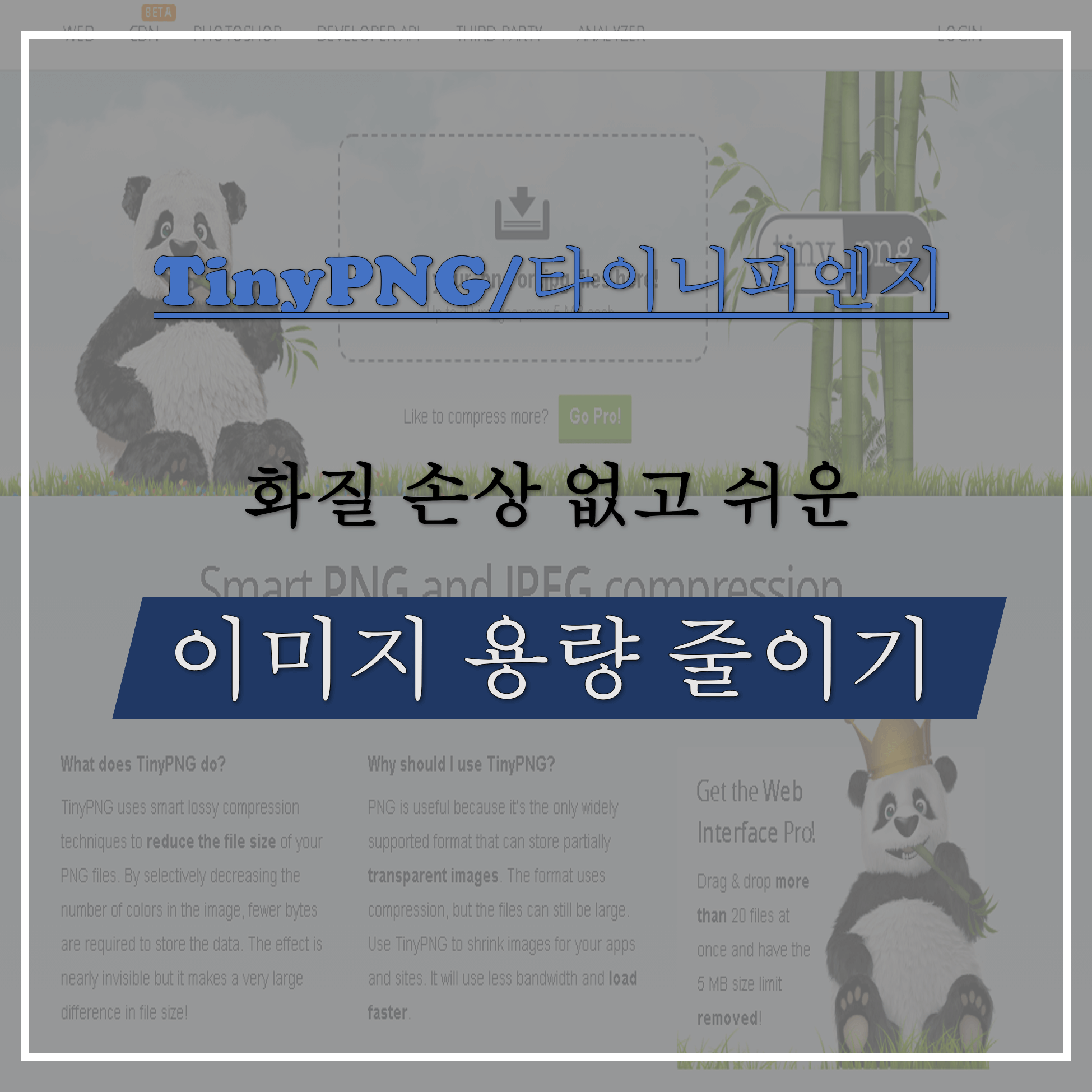 썸네일