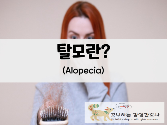 탈모(alopecia)증상, 치료, 관리 방법