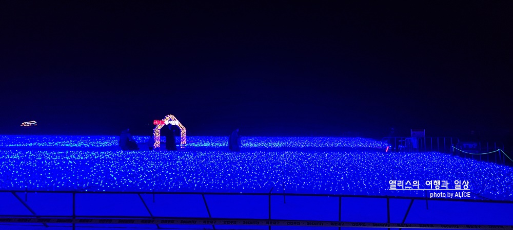 제8회 해운대 빛축제 - 해운대 백사장에 펼쳐지는 아름다운 빛의 물결 (반드시 알아두어야 할 입장정보, 백신접종증명서)