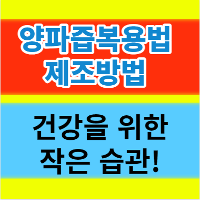  양파즙 복용법 제조 주스 섭취의 비밀 건강을 위한 작은 습관
