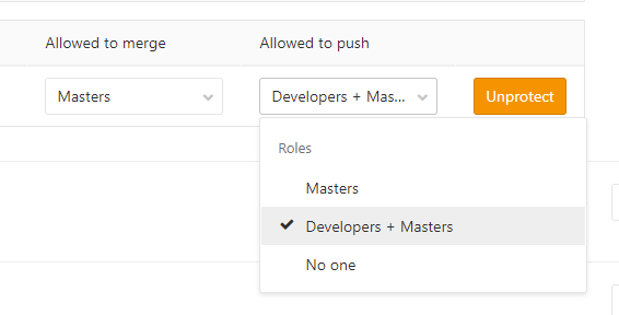  [GitLab] You are not allowed to push code to protected branches on this project.