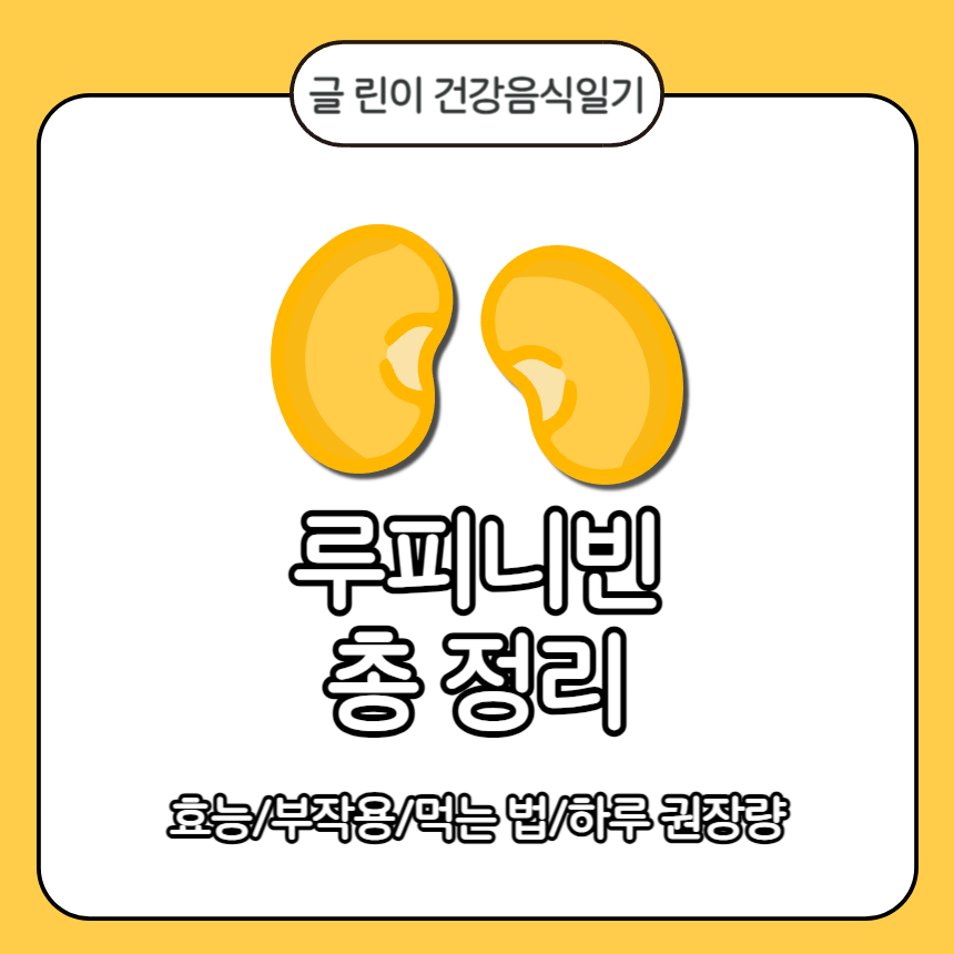  루피니빈 총 정리