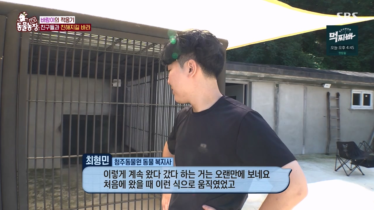 TV 동물농장.E1140.231009p-NEXT.mp4_20231008_174827.826.jpg